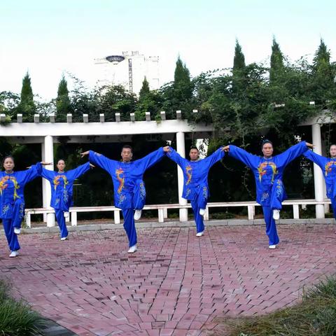 新安健儿在全国五禽戏网络视频大赛中勇创佳绩