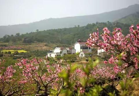 当涂久乐桃花山莊行，–——卫生处老感情新圈子2021年第三次聚会美篇之十一