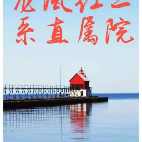 龙风文学院红二糸502张远庆分院学员抗击新型冠状病毒感染的肺炎疫情特刊诗词第七集专集。
