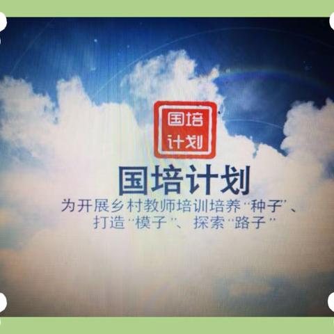 相约国培  携手成长——海原“国培计划2022”初中语文一日培训小记