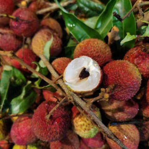 i购生鲜超市菜品部分展示