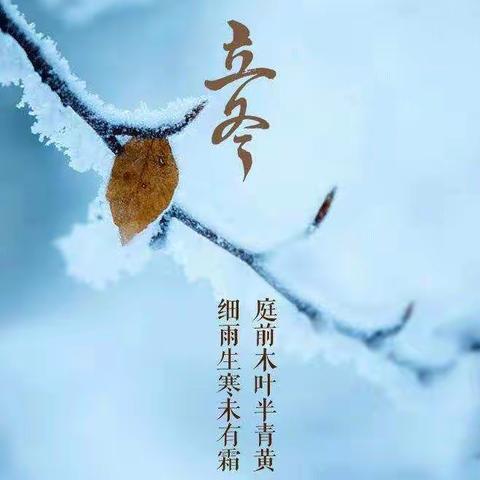 “吾将上下而求索，定不负青春韶华”——龙泉一中九年级十一月网课纪实