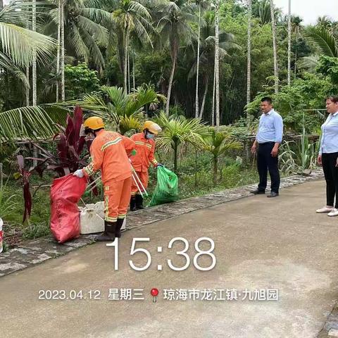 龙江镇2023年4月10日-2023年4月16日工作汇报