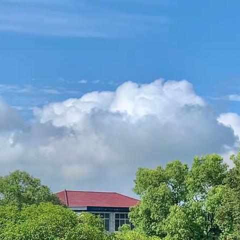 【周中动态】追风赶月莫停留 平芜尽处是春山