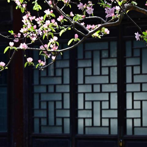 江南春正好--邂逅无锡