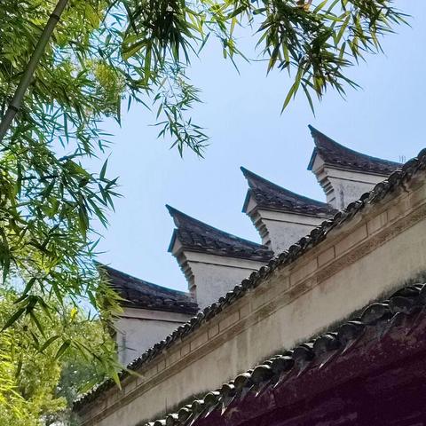 江南Citywalk--宁波&温州