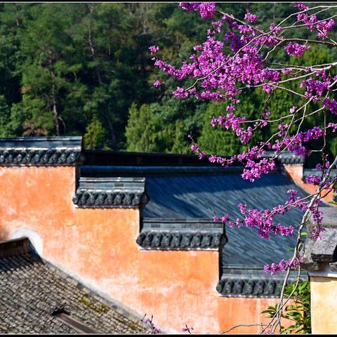 江南踏春行--台州访古