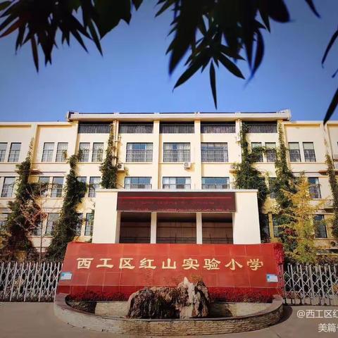 “云端之约，研无止境”——洛阳市西工区红山实验小学线上教研活动纪实