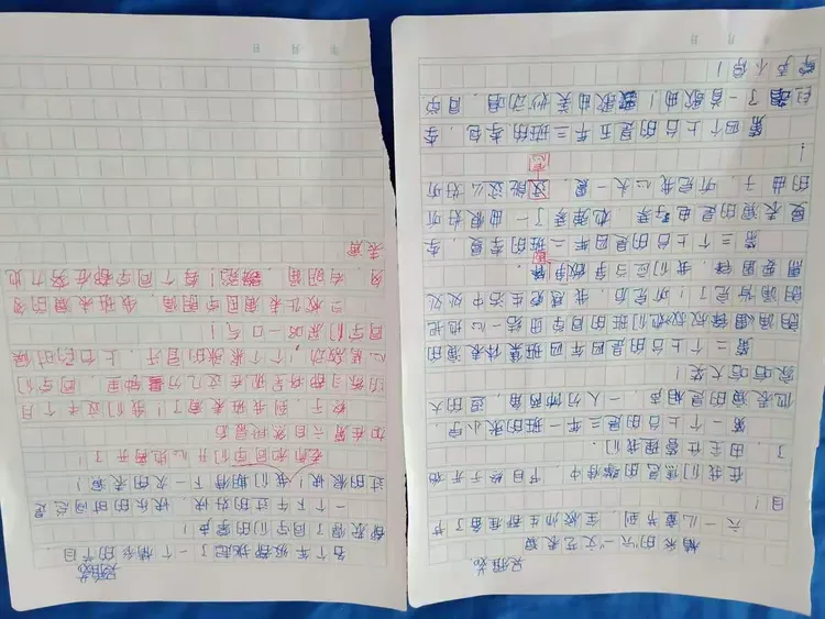 6.3作文练写《多彩的活动》