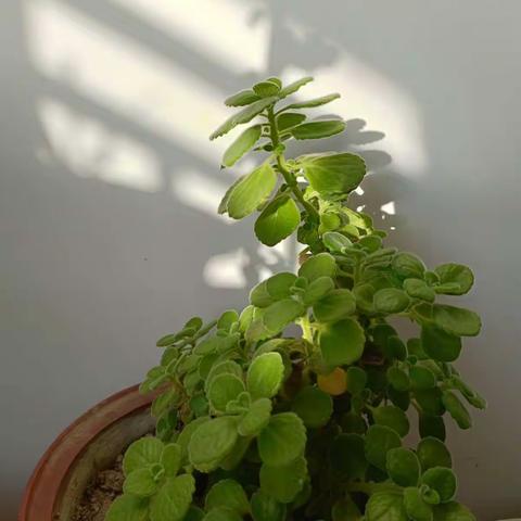 目之所及，皆是生活美好