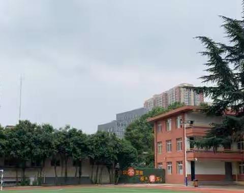 抗疫不停学，宅家也精彩——兴庆小学一年级三班“停课不停学”活动