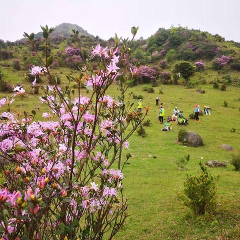 与高人为伍，你能登上巅峰