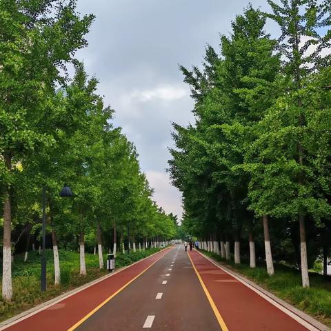 因为她，看遍人情冷暖...