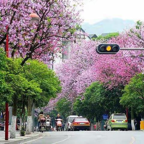 “紫荆花开满龙城，雀儿山下话督学”——贺州市八步区中小学（幼儿园）责任督学和联络员业务能力提升研修班