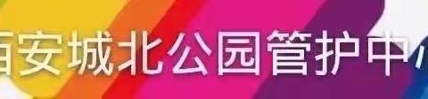 西安市城北公园管护中心召开“奋进新征程 建功新时代”第四届职工运动会暨最美城北公园人表彰会