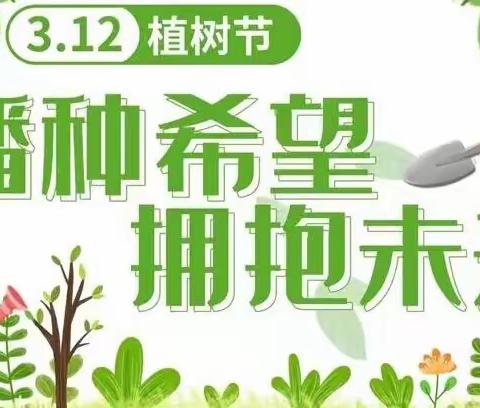 👑国际星幼儿园中三班—“植树节”🌲🌳