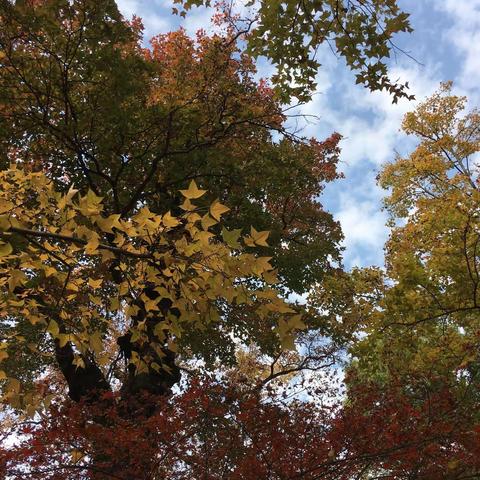 向伟雨户外俱乐部天平山休闲穿越2019/12/05