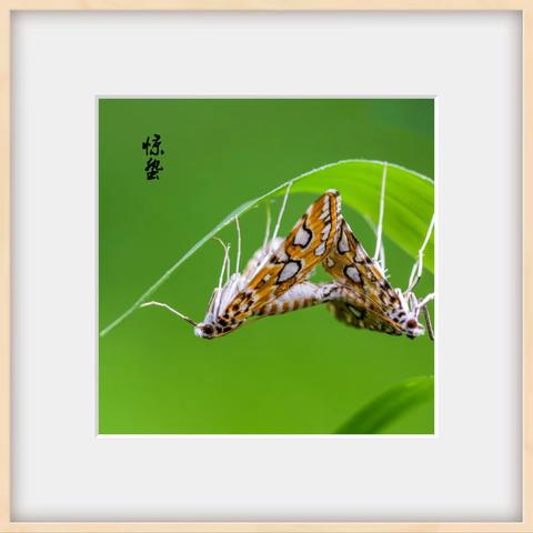 《春雷响，万物长》中三班