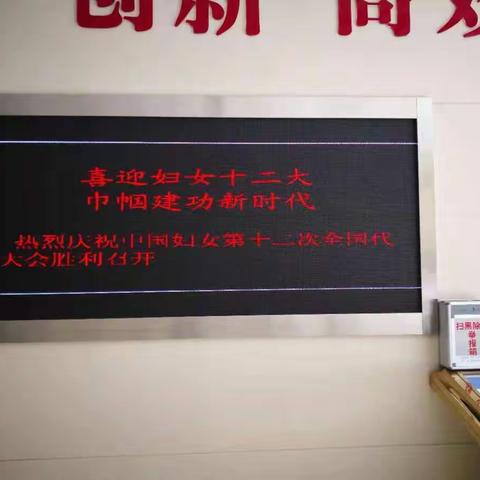 喜迎全国妇女十二大