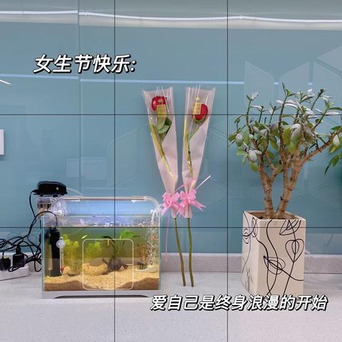 魅力骨医，美丽天使，——护理部“三八妇女节”慰问全院护士
