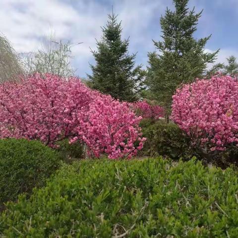 “五一”我在岗