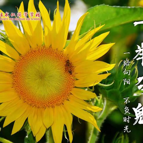 【术仁国学】为梦而战 中考必胜——定兴县术仁国学学校举行2023届中考壮行大会