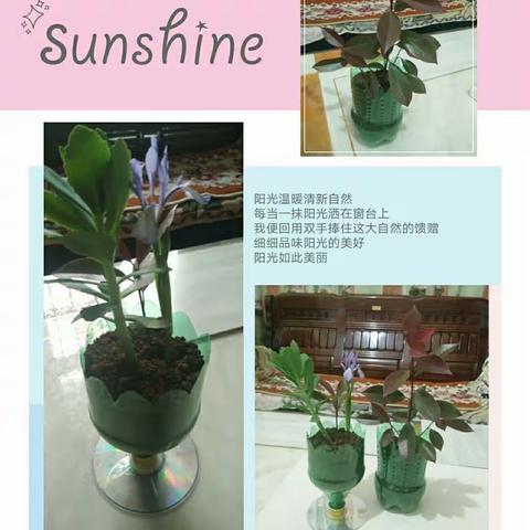 “动手制作，变废为宝”三二在行动