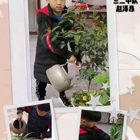 青山绿水的美篇