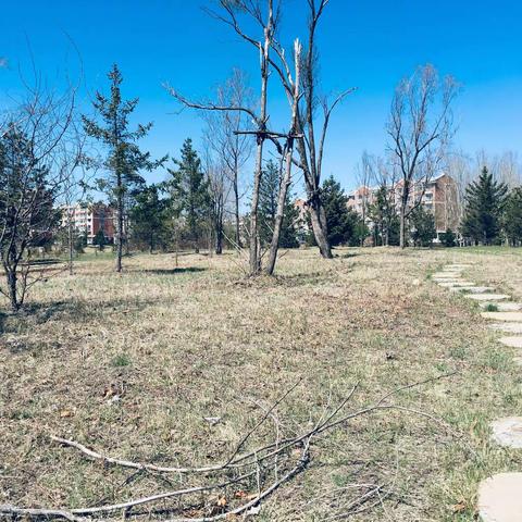 城市丽人的美篇