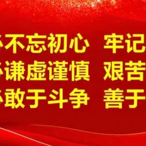 【红星党建】多措并举，掀起学习贯彻党的二十大精神热潮