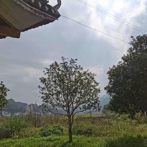 送爱心，暖童心——记怀化市志愿者协会给北斗溪镇学校贫困留守学生的捐赠活动