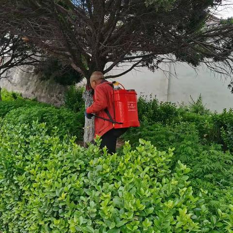 夏季村居杂草喷打除草剂