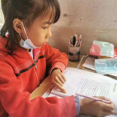 铁山垅中心小学五（1）班 刘紫霞读书心得
