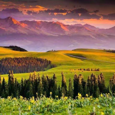 养生健体是一门功课