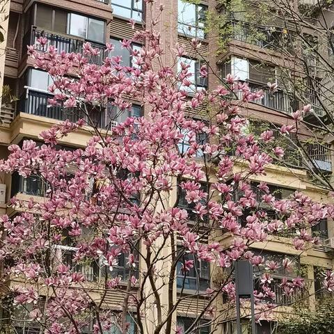 三月份工作总结