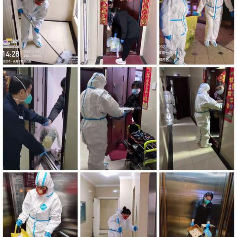 2022年11月工作汇报