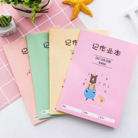 南姚小学作业管理制度