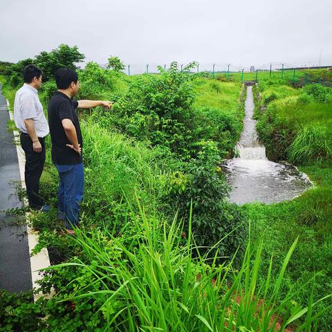 余小斌局长率队查看机场防汛安全工作情况