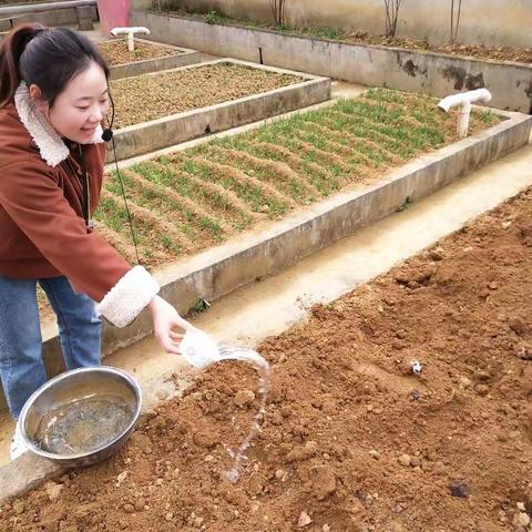 春晖幼儿园植树节活动