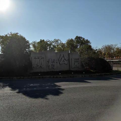 顾村公园2021~~秋意浓