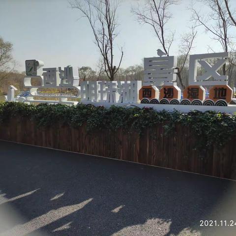 2021崇明深秋游(3)~漫游西沙明珠湖(中国十大湿地之一)