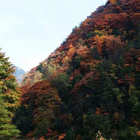 秋风飘过—丁贵生词 孙成芳曲编 江力建唱