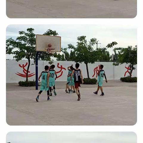 海棠花语的美篇