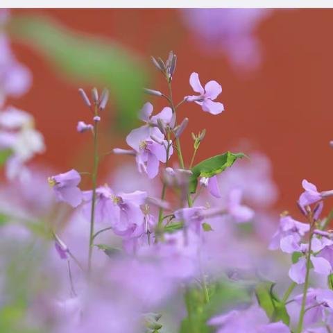 书香林苑小区2月24日消防知识培训会