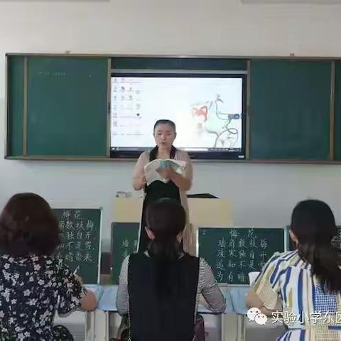 莘县首届小学教师素养大赛