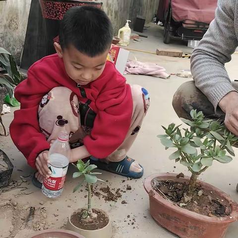 汉阳路小学一三班王钱森的美篇