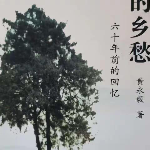 四.《我的乡愁》 黄永毅 著 （四）