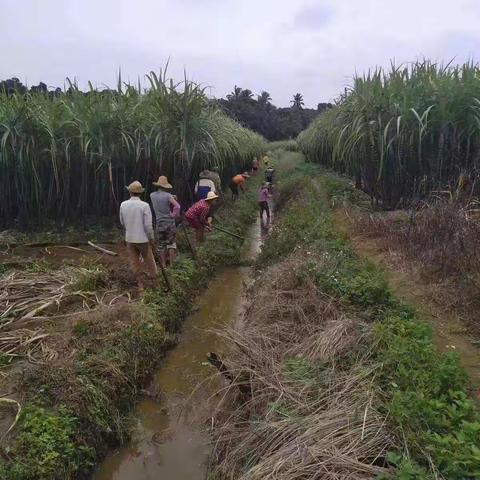 潭牛镇新昌村开展“党建引领 全民参与”六水共治大会战活动
