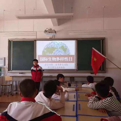 宜良县新华小学少先队主题活动喜迎COP15,共建美丽云南