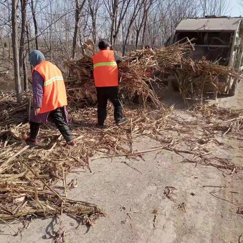 【前大磨乡】清理河道垃圾 改善河道环境